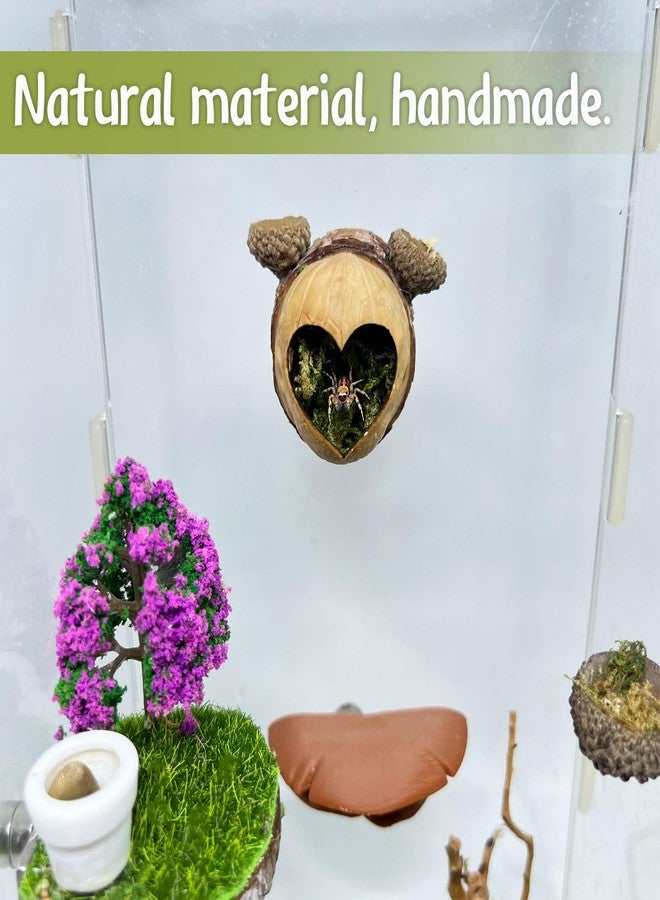 Daerky Jumping Spider Hideaway, Magnetic Jumping Spider Habitat, Spider Jumping Climbing Platform, Handmade Spider Enclosure Accessory - Image 5